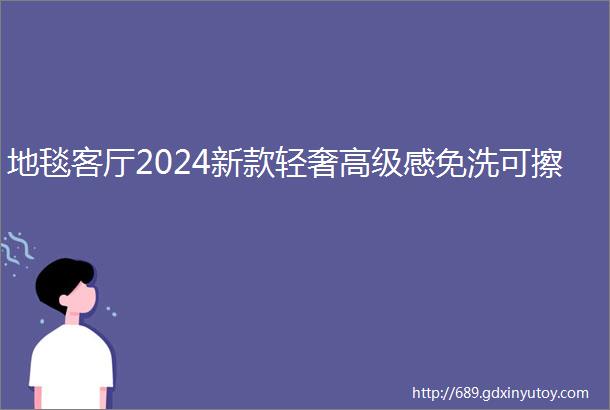 地毯客厅2024新款轻奢高级感免洗可擦